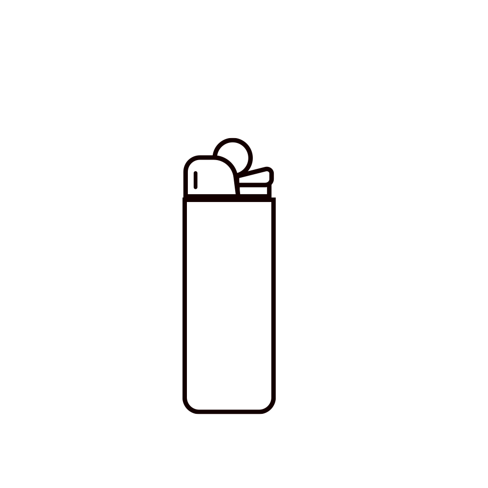 Disposable Lighters